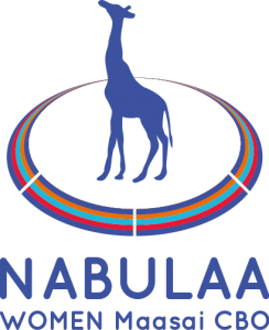 logo nabulaa