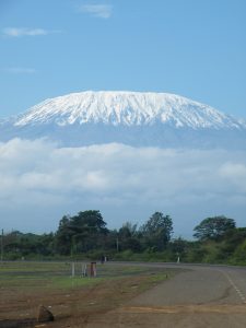 Gazelle harambee Florence Cazanobe Kilimanjaro Kenya