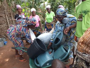 GAZELLE HARAMBEE Jardin potager Djégou Nagot   2014 (Bénin)