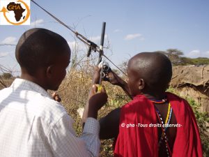 GAZELLE HARAMBEE Simba project 2014 (Kenya)