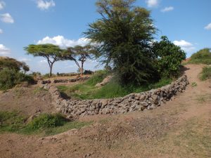 GAZELLE HARAMBEE VISITE TERRAIN KENYA 2015