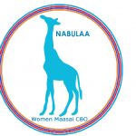 logo nabulaa